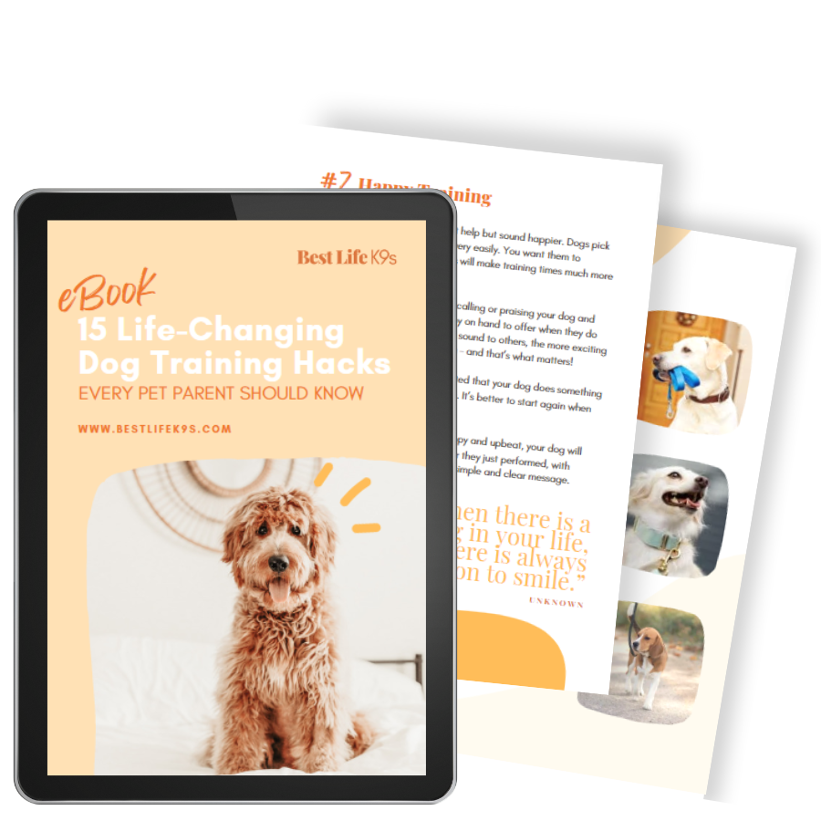 Dog Training Hacks eBook