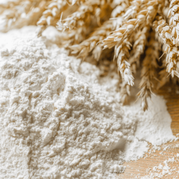 Is Whole Wheat Flour Good for Dogs