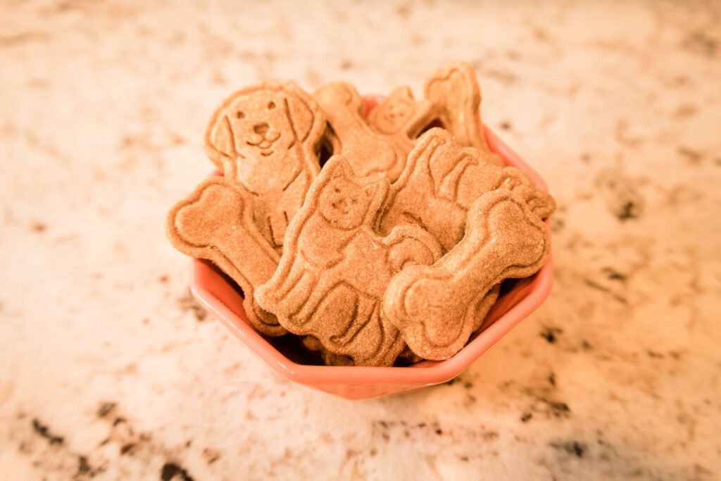 Pumpkin Whole Wheat Flour Dog Treats