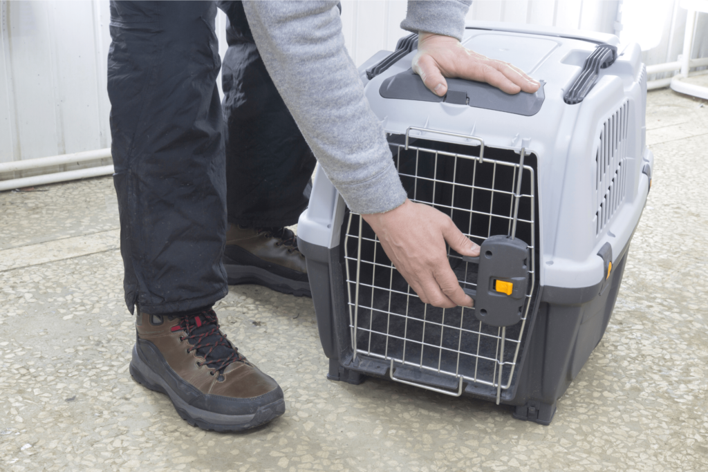 Airline Dog Crate for Cargo Hold