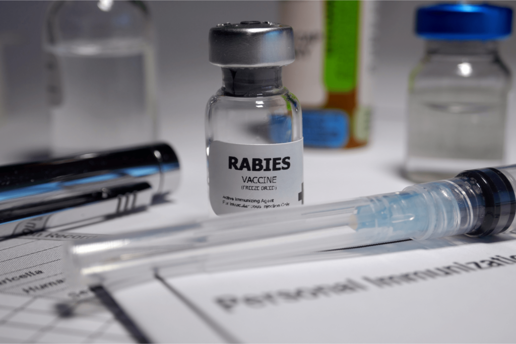 flying with dogs rabies vaccination